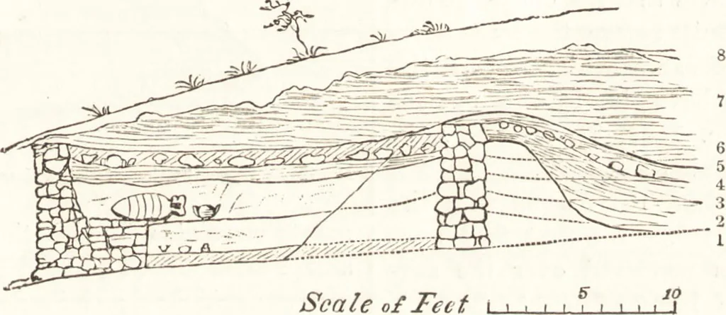 An illustration from Ilios; the city and country of the Trojans. The results of researches and discoveries on the site of Troy and throughout the Troad in the years 1871-72-73-78-79, including an autobiography of the author, 1880, leaf 742