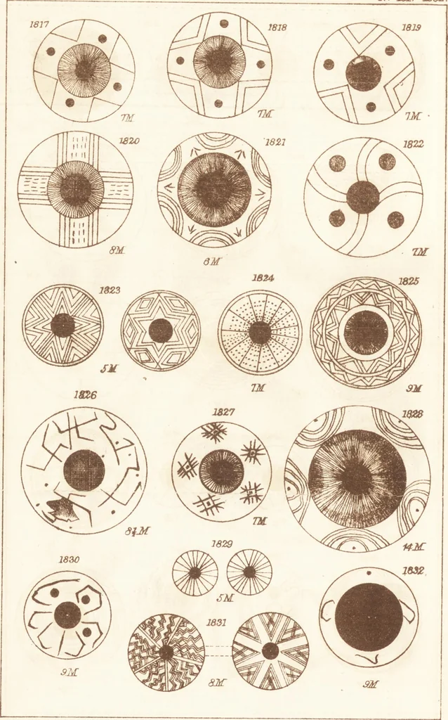 An illustration from Ilios; the city and country of the Trojans. The results of researches and discoveries on the site of Troy and throughout the Troad in the years 1871-72-73-78-79, including an autobiography of the author, 1880, leaf 841