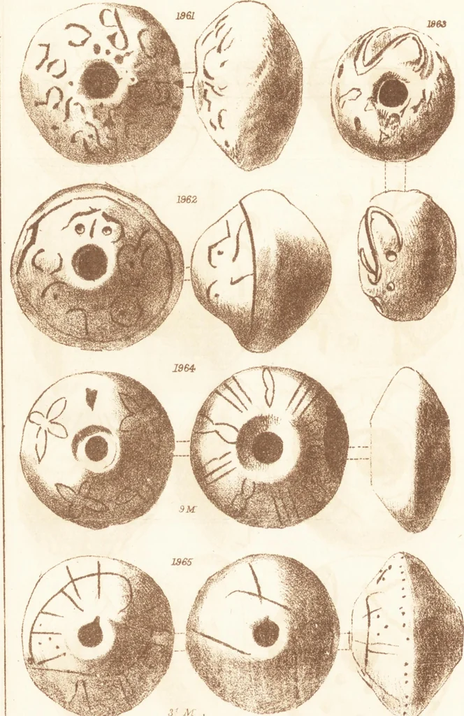 An illustration from Ilios; the city and country of the Trojans. The results of researches and discoveries on the site of Troy and throughout the Troad in the years 1871-72-73-78-79, including an autobiography of the author, 1880, leaf 863
