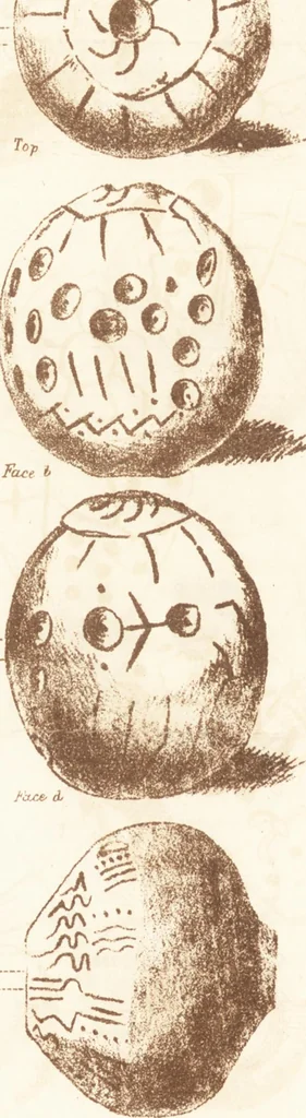 An illustration from Ilios; the city and country of the Trojans. The results of researches and discoveries on the site of Troy and throughout the Troad in the years 1871-72-73-78-79, including an autobiography of the author, 1880, leaf 869