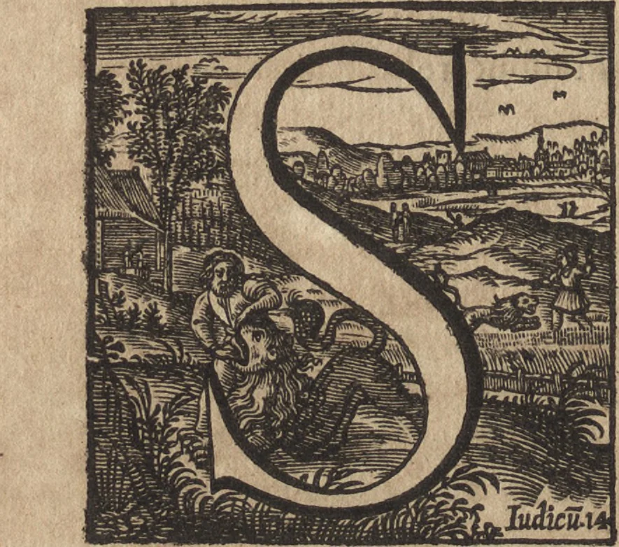 An illustration from Hygini Gromatici et Polybii Megalopolitani De castris romanis, quae exstant : cum notis & animadversionibus, quibus accedunt dissertationes aliquot de re eadem militari populi Romani, 1660, leaf 289