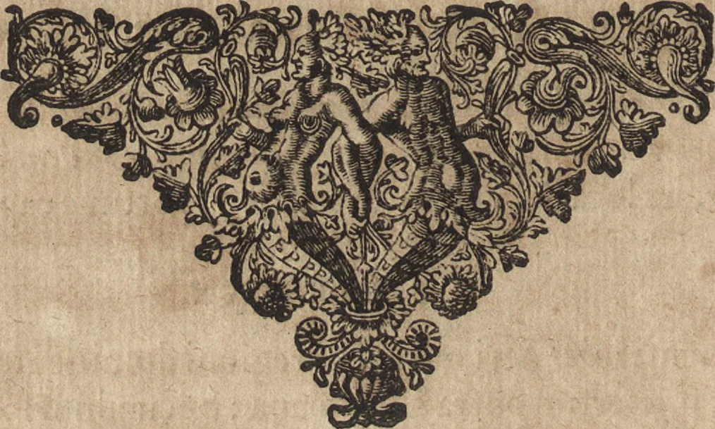 An illustration from Hygini Gromatici et Polybii Megalopolitani De castris romanis, quae exstant : cum notis & animadversionibus, quibus accedunt dissertationes aliquot de re eadem militari populi Romani, 1660, leaf 83
