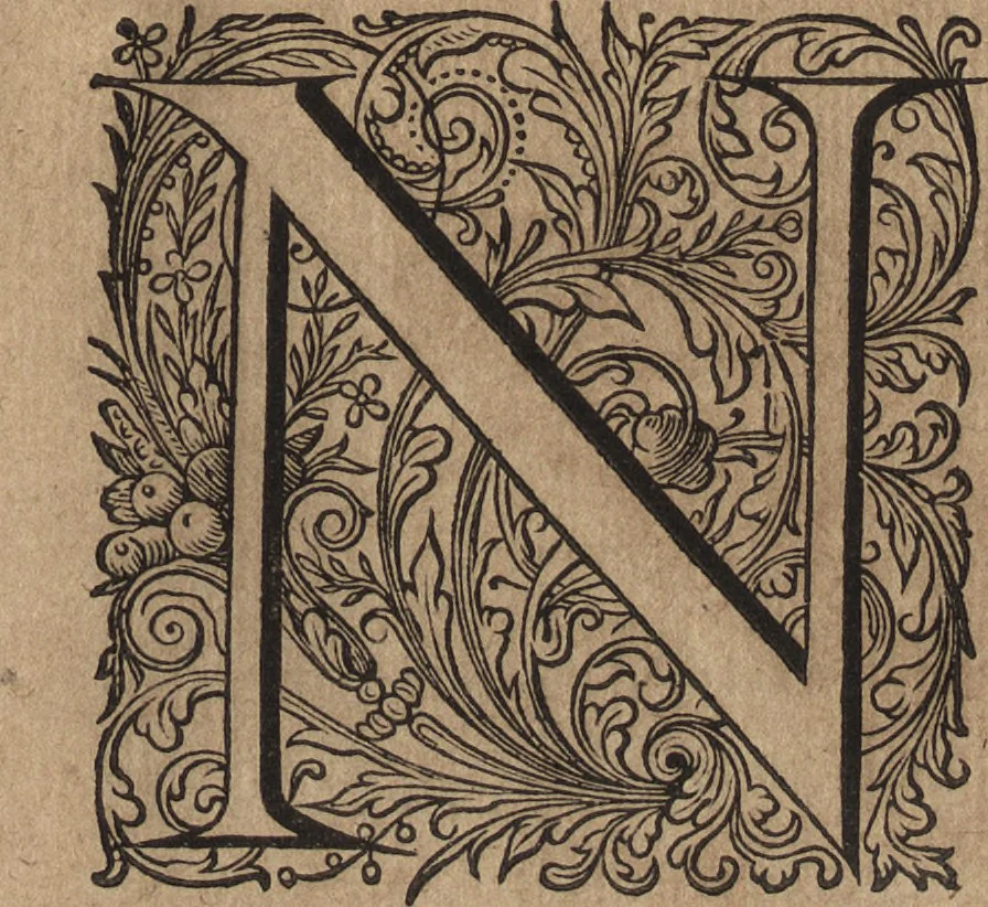 An illustration from Hygini Gromatici et Polybii Megalopolitani De castris romanis, quae exstant : cum notis & animadversionibus, quibus accedunt dissertationes aliquot de re eadem militari populi Romani, 1660, leaf 84