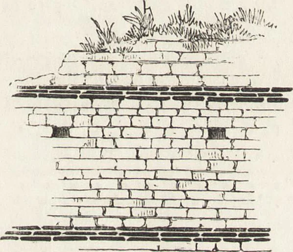 An illustration from An introduction to the study of Gothic architecture, 1861, leaf 24