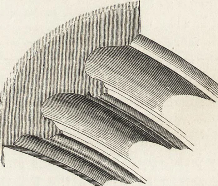 An illustration from An introduction to the study of Gothic architecture, 1861, leaf 240