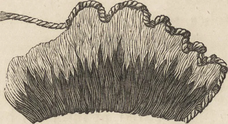 An illustration from Church embroidery, ancient and modern, 1867, leaf 199