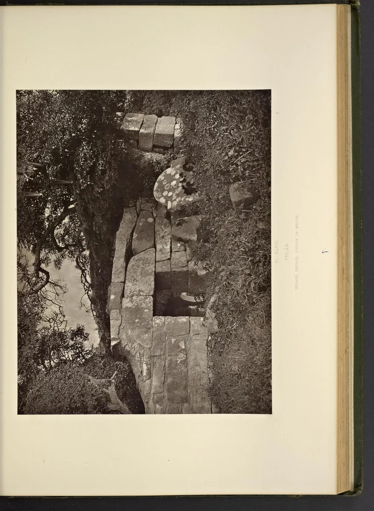 An illustration from Notes on Irish architecture, 1875, leaf 248