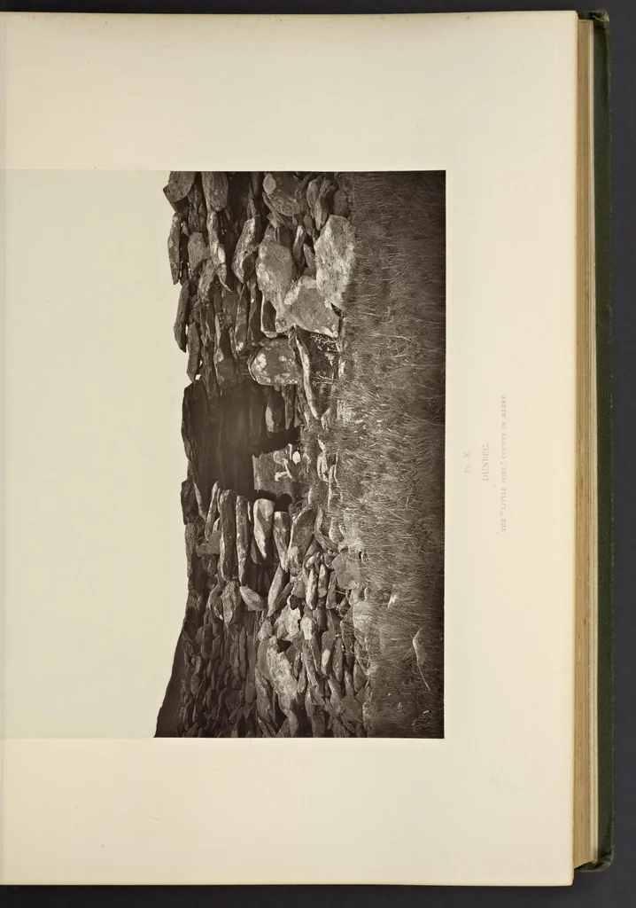 An illustration from Notes on Irish architecture, 1875, leaf 84