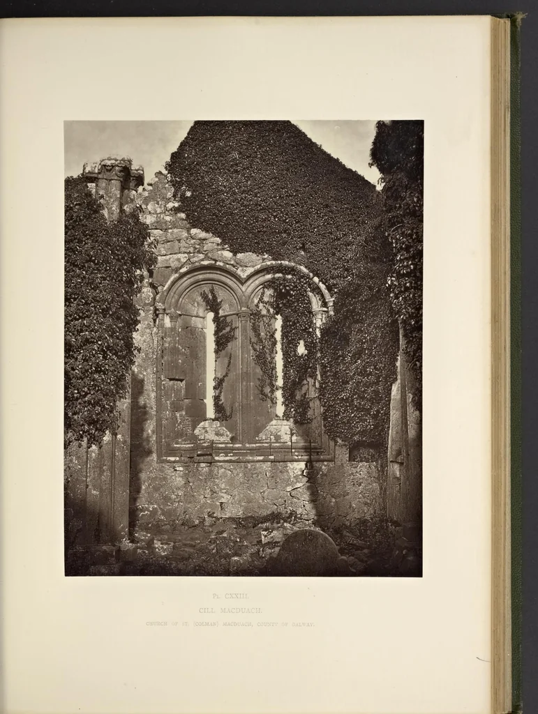 An illustration from Notes on Irish architecture, 1875, leaf 266