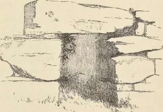 An illustration from Notes on Irish architecture, 1875, leaf 288