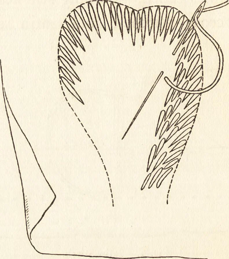 An illustration from Arts and crafts essays, 1893, leaf 417