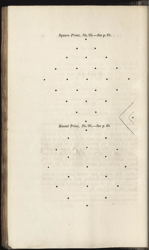 An illustration from A treatise on printing and dyeing silks : shawls, garments, bandanas, and piece goods, in the different colours, 1829, leaf 99