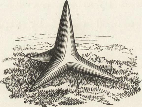 An illustration from Military and religious life in the Middle Ages and at the period of the Renaissance, 1870, leaf 109