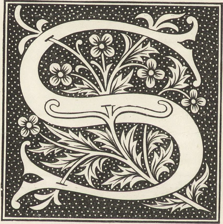 An illustration from Military and religious life in the Middle Ages and at the period of the Renaissance, 1870, leaf 121