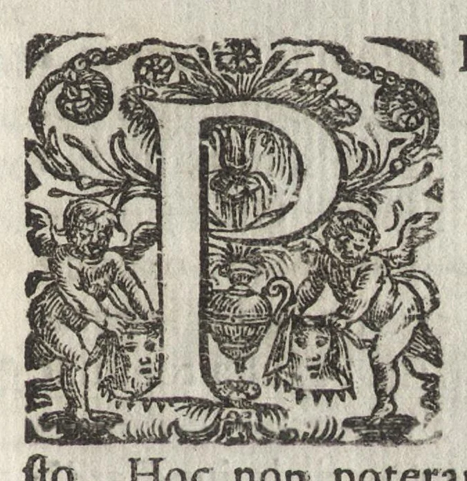 An illustration from Christophori Scheiner, e Societate Iesu Germano-Sueui, Pantographice, seu, Ars delineandi res quaslibet per parallelogrammum lineare seu cauum, mechanicum, mobile : libellis duobus explicata & demonstrationibus geometricis illustrata, quorum prior epipedographicen, siue planorum, posterior stereographicen, seu solidorum aspectabilium viuam imitationem atque proiectionem edocet, 1631, leaf 10