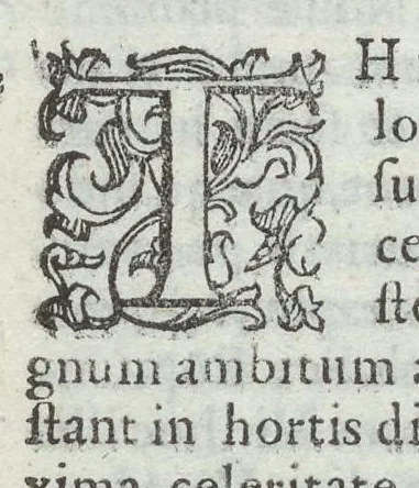An illustration from Bartholomaei Marliani Vrbis Romae topographia; accvrate', tvm ex vetervm, tum etiam recentiorum fontibus hausta,, 1588, leaf 195