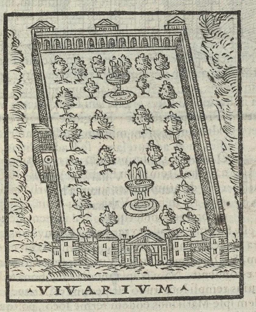 An illustration from Bartholomaei Marliani Vrbis Romae topographia; accvrate', tvm ex vetervm, tum etiam recentiorum fontibus hausta,, 1588, leaf 316