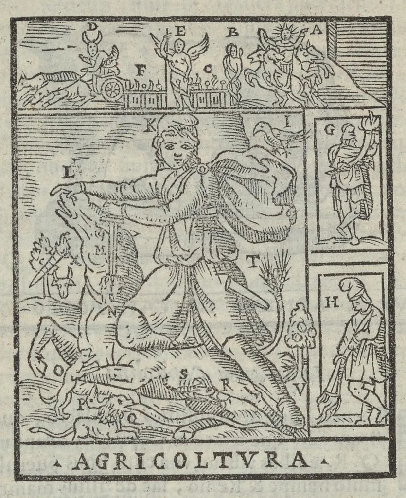 An illustration from Bartholomaei Marliani Vrbis Romae topographia; accvrate', tvm ex vetervm, tum etiam recentiorum fontibus hausta,, 1588, leaf 323