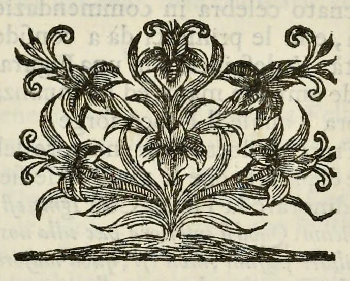 An illustration from I Cesari in oro, raccolti nel Farnese Museo e pubblicati colle loro congrue interpretazioni : tomo primo[-decimo], 1694, leaf 433