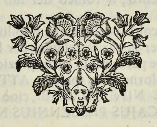 An illustration from I Cesari in oro, raccolti nel Farnese Museo e pubblicati colle loro congrue interpretazioni : tomo primo[-decimo], 1694, leaf 342