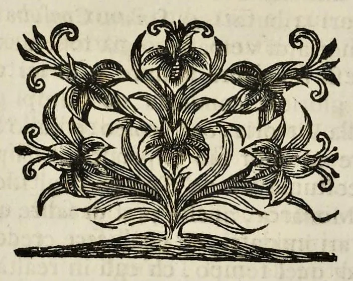 An illustration from I Cesari in oro, raccolti nel Farnese Museo e pubblicati colle loro congrue interpretazioni : tomo primo[-decimo], 1694, leaf 415