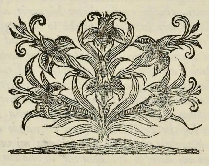 An illustration from I Cesari in oro, raccolti nel Farnese Museo e pubblicati colle loro congrue interpretazioni : tomo primo[-decimo], 1694, leaf 19