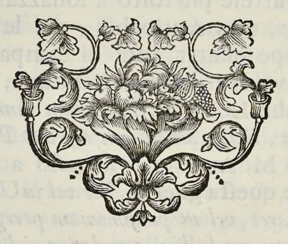 An illustration from I Cesari in oro, raccolti nel Farnese Museo e pubblicati colle loro congrue interpretazioni : tomo primo[-decimo], 1694, leaf 296