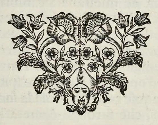 An illustration from I Cesari in oro, raccolti nel Farnese Museo e pubblicati colle loro congrue interpretazioni : tomo primo[-decimo], 1694, leaf 76