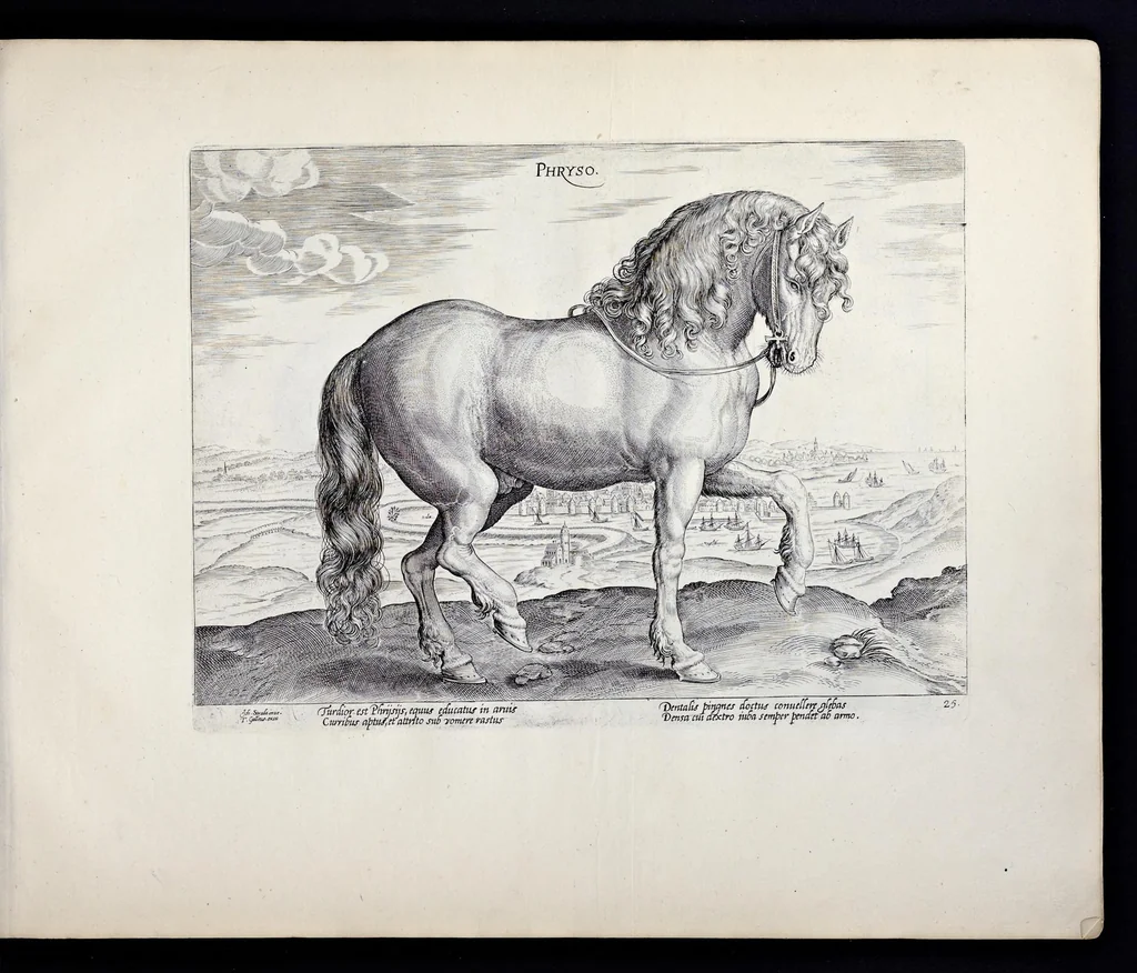 An illustration from Eqvile, sev, Specvlvm eqvorvm : in quo omnis generis generosissimorum equorum ex varijs orbis partibus insignis delectus, 1600, leaf 52