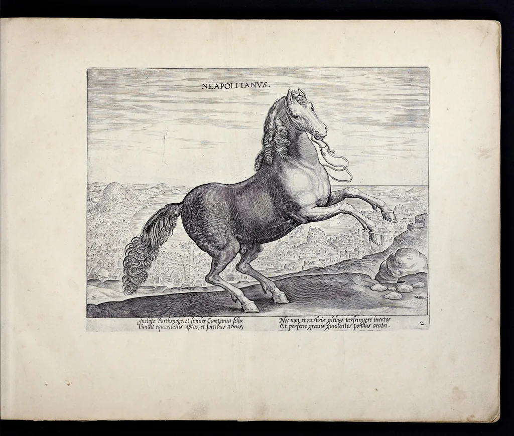 An illustration from Eqvile, sev, Specvlvm eqvorvm : in quo omnis generis generosissimorum equorum ex varijs orbis partibus insignis delectus, 1600, leaf 6