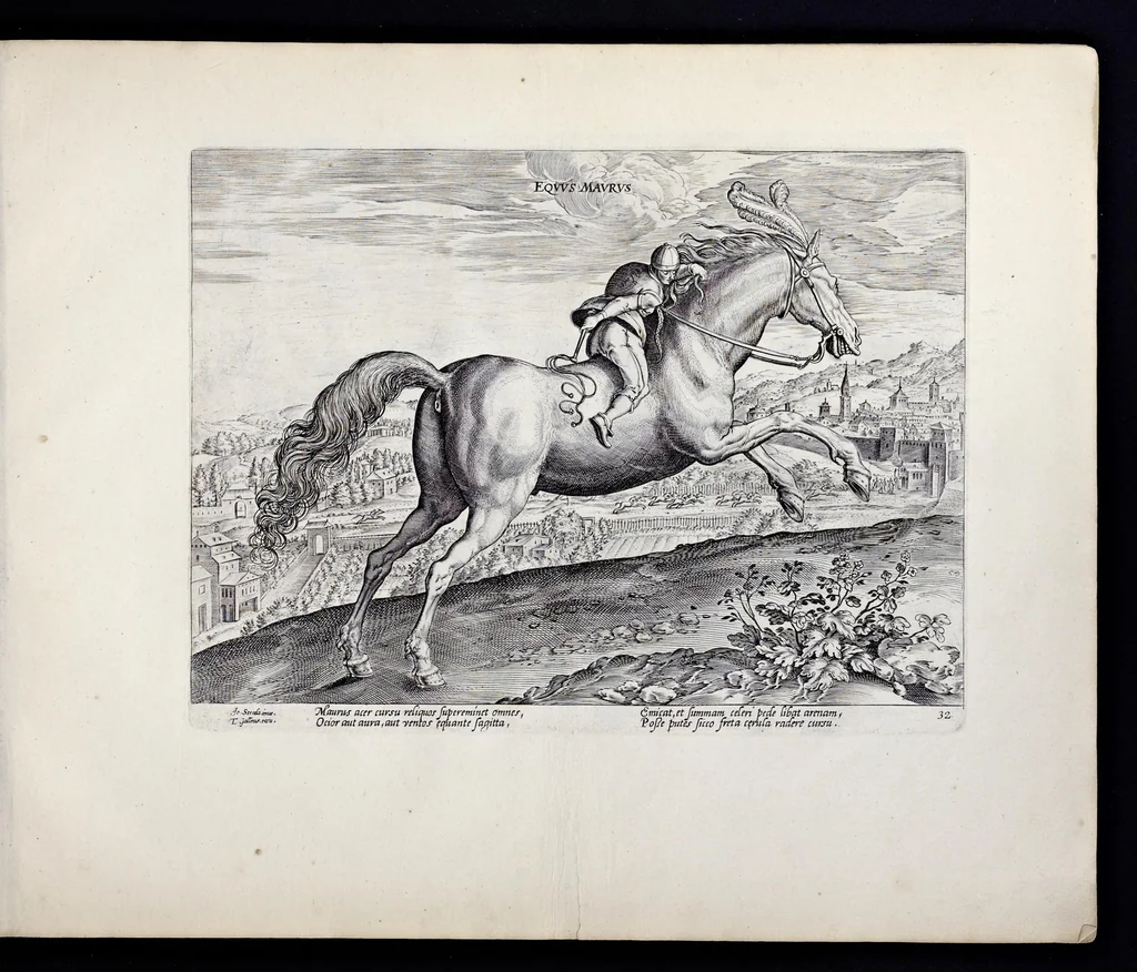 An illustration from Eqvile, sev, Specvlvm eqvorvm : in quo omnis generis generosissimorum equorum ex varijs orbis partibus insignis delectus, 1600, leaf 66