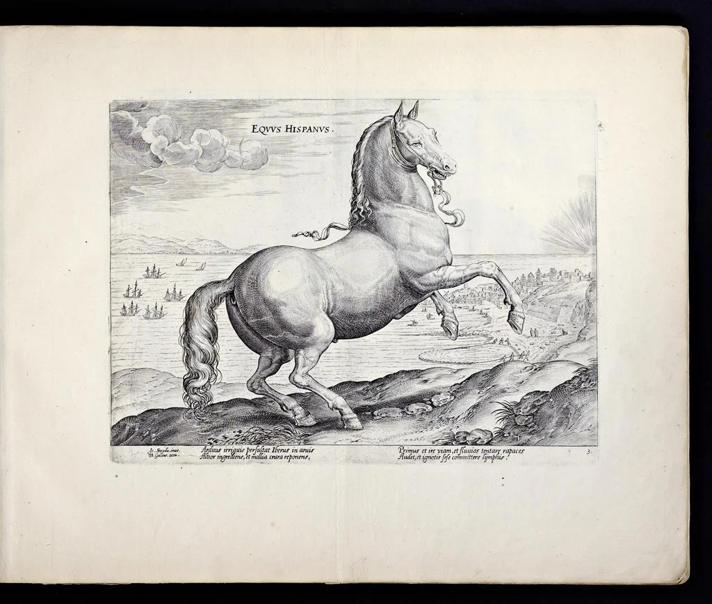An illustration from Eqvile, sev, Specvlvm eqvorvm : in quo omnis generis generosissimorum equorum ex varijs orbis partibus insignis delectus, 1600, leaf 8