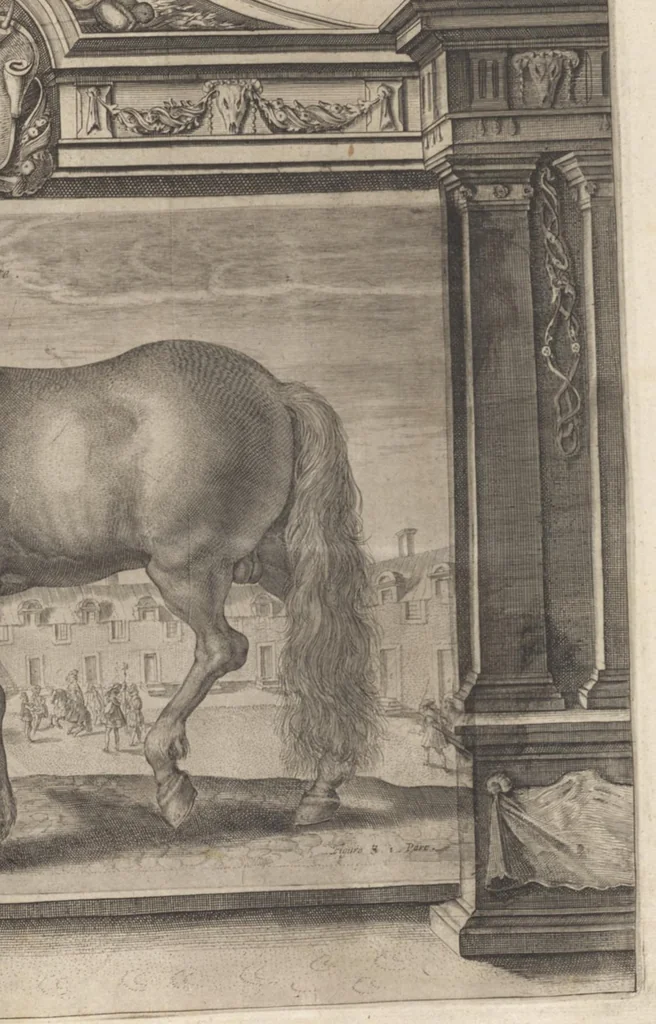 An illustration from L'Instrvction dv roy en l'exercice de monter à cheval, 1629, leaf 54
