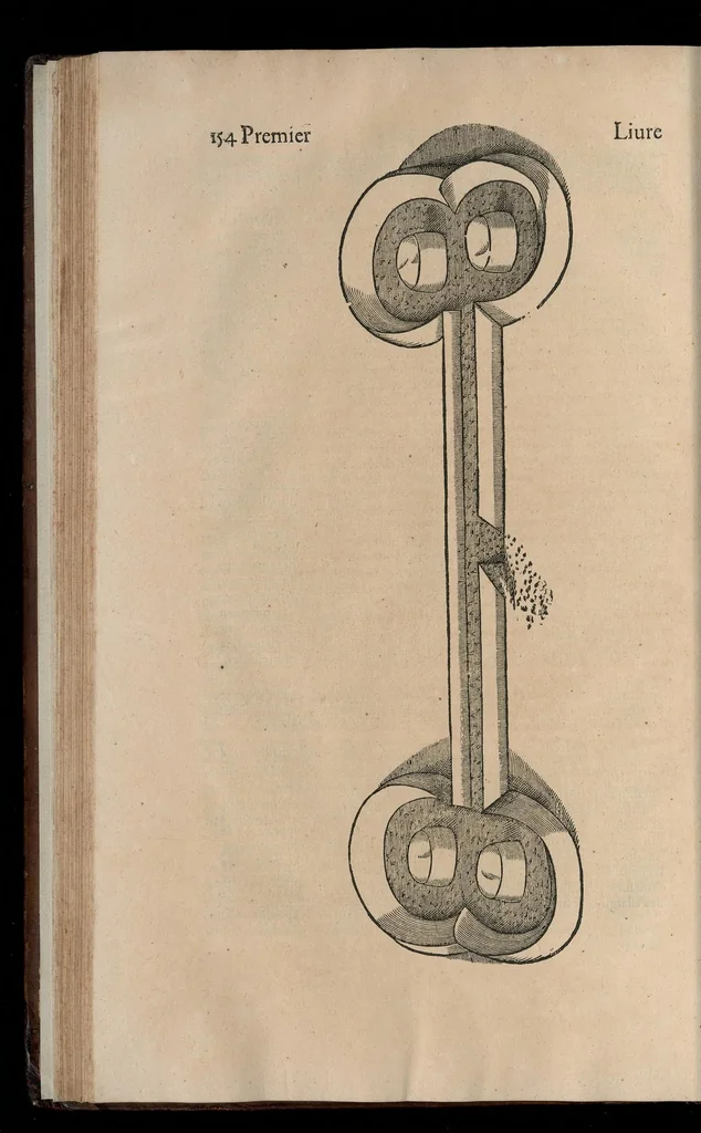 An illustration from Le caualerice françois, 1610, leaf 161