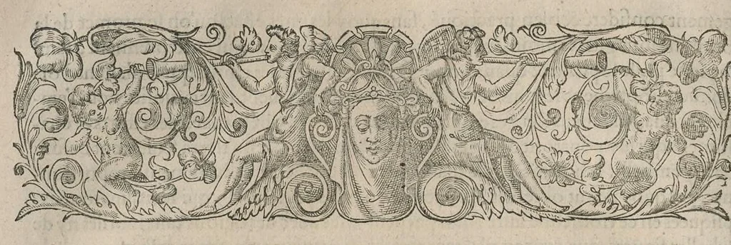 An illustration from Le caualerice françois, 1610, leaf 375