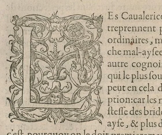 An illustration from Le caualerice françois, 1610, leaf 375