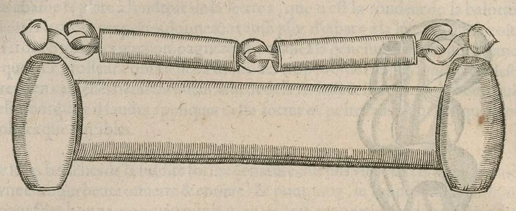 An illustration from Le caualerice françois, 1610, leaf 385