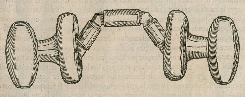 An illustration from Le caualerice françois, 1610, leaf 407