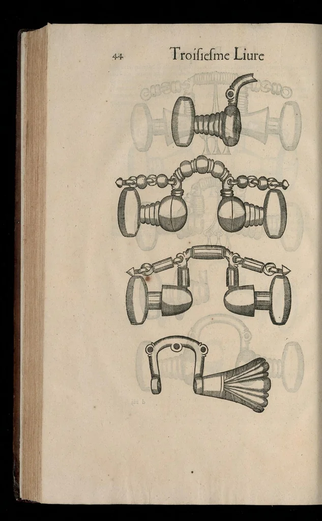 An illustration from Le caualerice françois, 1610, leaf 411