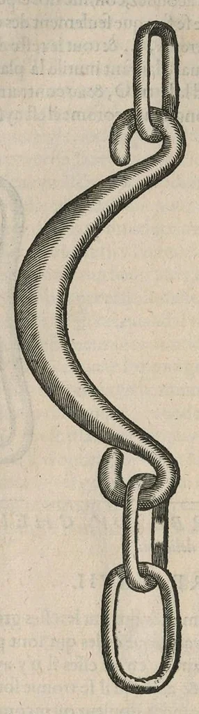 An illustration from Le caualerice françois, 1610, leaf 433