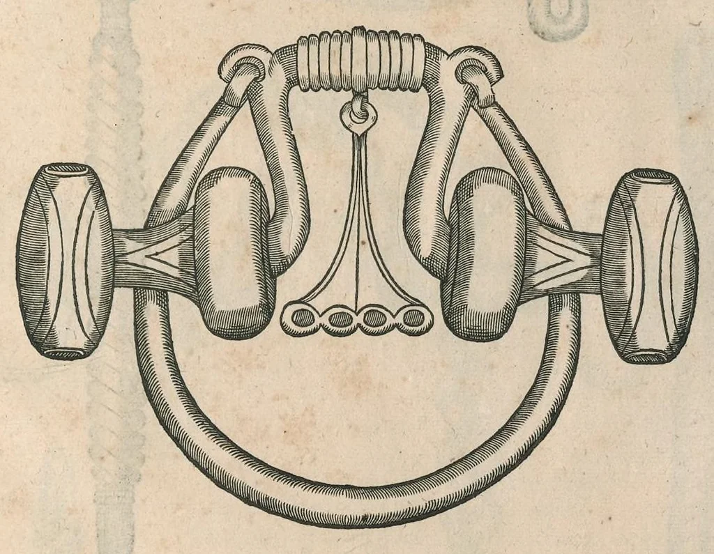 An illustration from Le caualerice françois, 1610, leaf 438