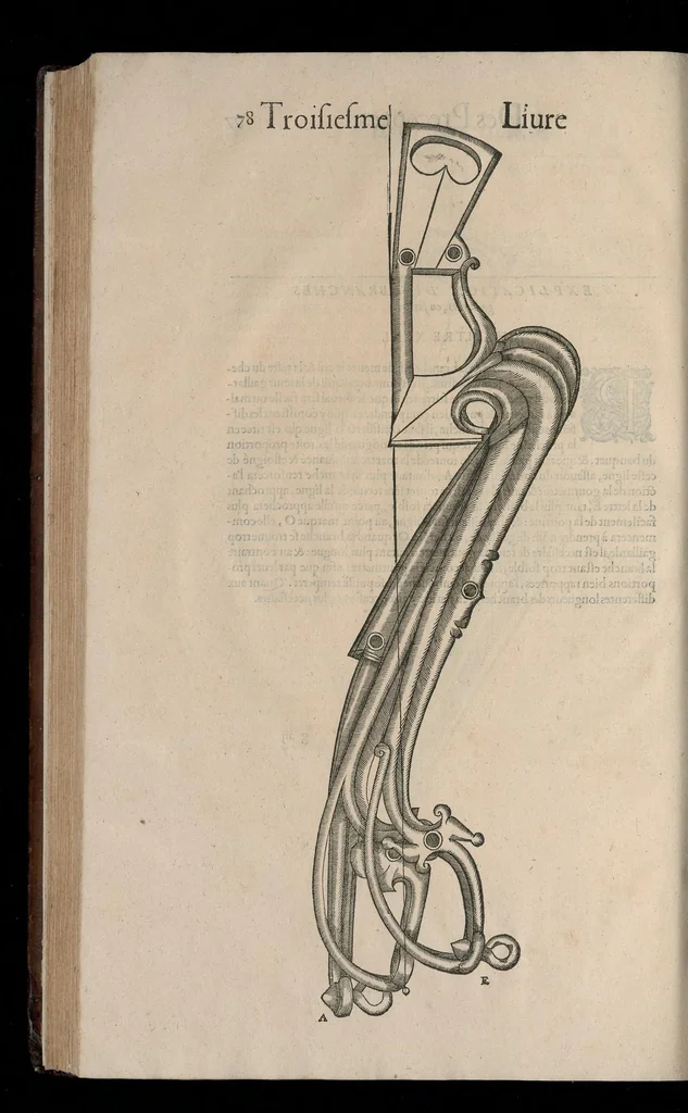 An illustration from Le caualerice françois, 1610, leaf 445