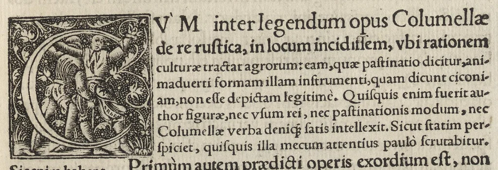 An illustration from Io. Bvteonis delphinatici Opera geometrica, qvorvm titvli seqvvntur. De arca Noe, cuius formae, capacitatisq[ue] fuerit. De sublicio ponte Caesaris. Confutatio quadraturae circuli ab Orontio Finaeo factae. Ad locum Quintiliani geometricum explanatio. Ad problema cubi duplicandi. De fluentis aquae mensura. Emendatio figurationis organi a Columella descripti. De libra et statera. De precio margaritarum. In ivre civili: De fluuiaticis insulis secundum ius civile diuidendis, vbi confutatur Tyberias Bartoli. De diuisione fructus arboris in confinio natae. Geometriae cognitionem iureconsulto necessariam. Ad legem Papiniani, diuortio. Ad legem Iuliani, si ita scriptum. Ad legem Aphricani, qui quadringenta, 1554, leaf 78
