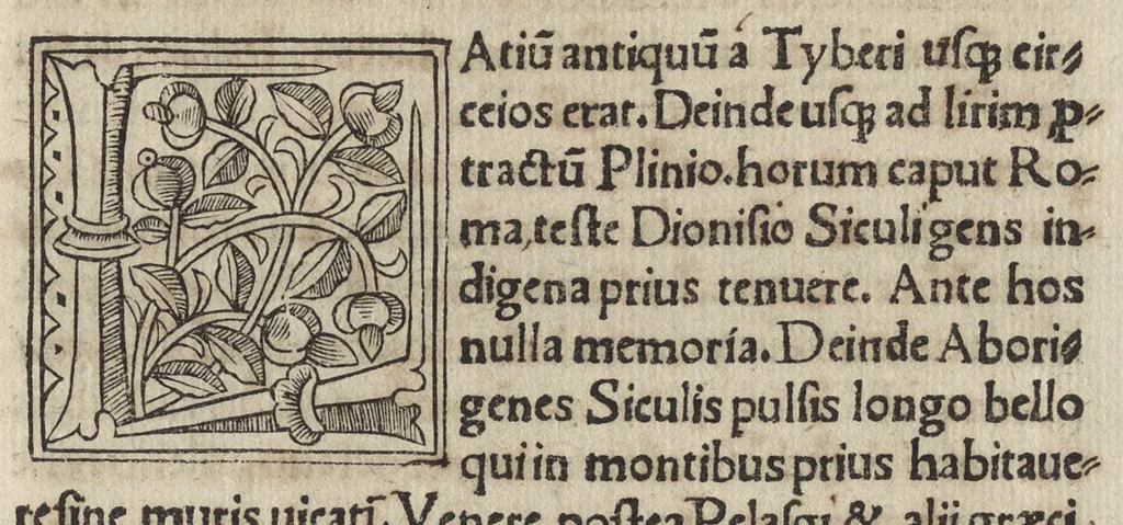 An illustration from De Roma prisca et nova varii auctores prout in sequenti pagella cernere est, 1523, leaf 262