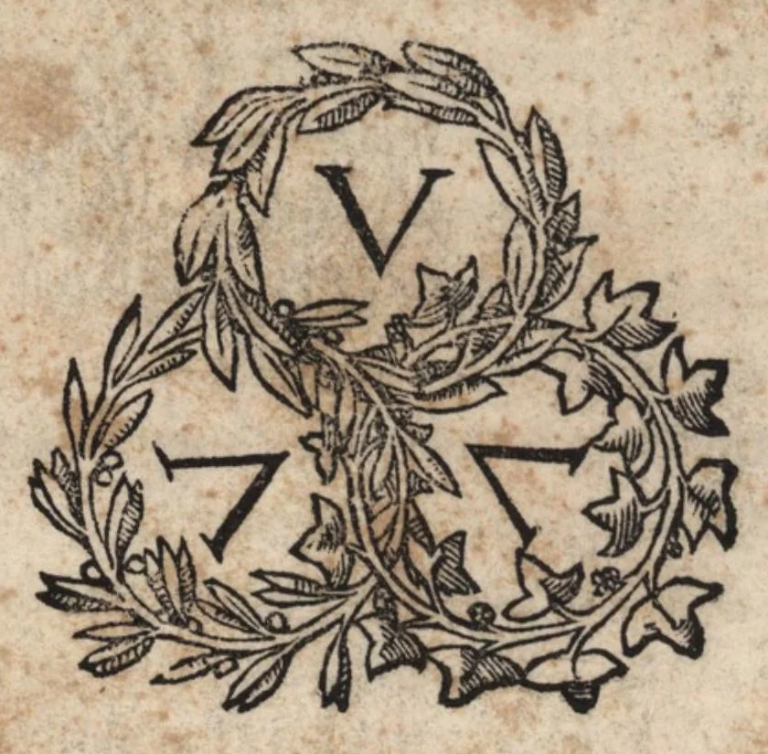 An illustration from De Roma prisca et nova varii auctores prout in sequenti pagella cernere est, 1523, leaf 339