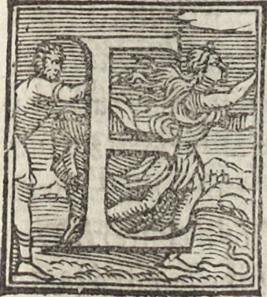 An illustration from Roma trionfante, 1549, leaf 314