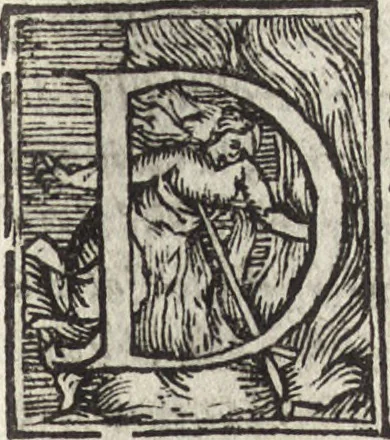 An illustration from Roma trionfante, 1549, leaf 462