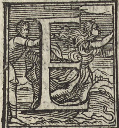 An illustration from Roma trionfante, 1549, leaf 655