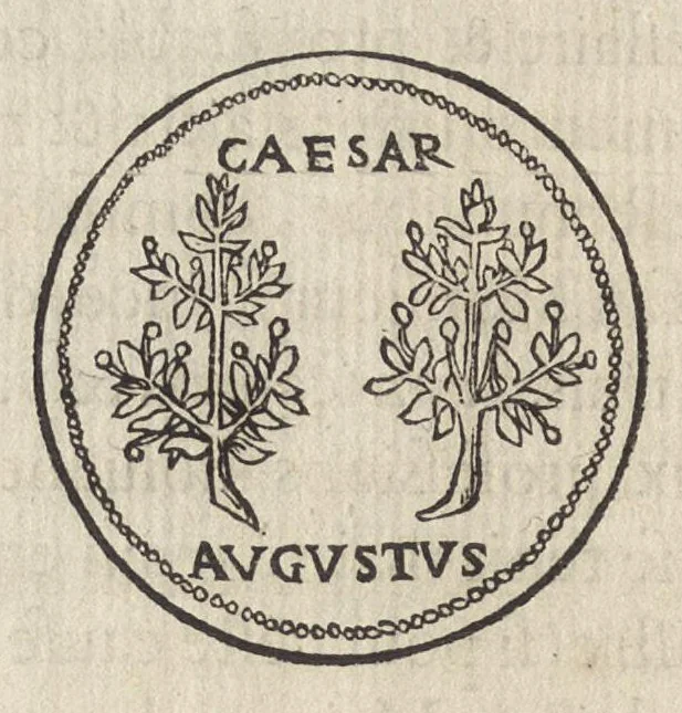 An illustration from Les illvstres observations antiqves, 1558, leaf 131