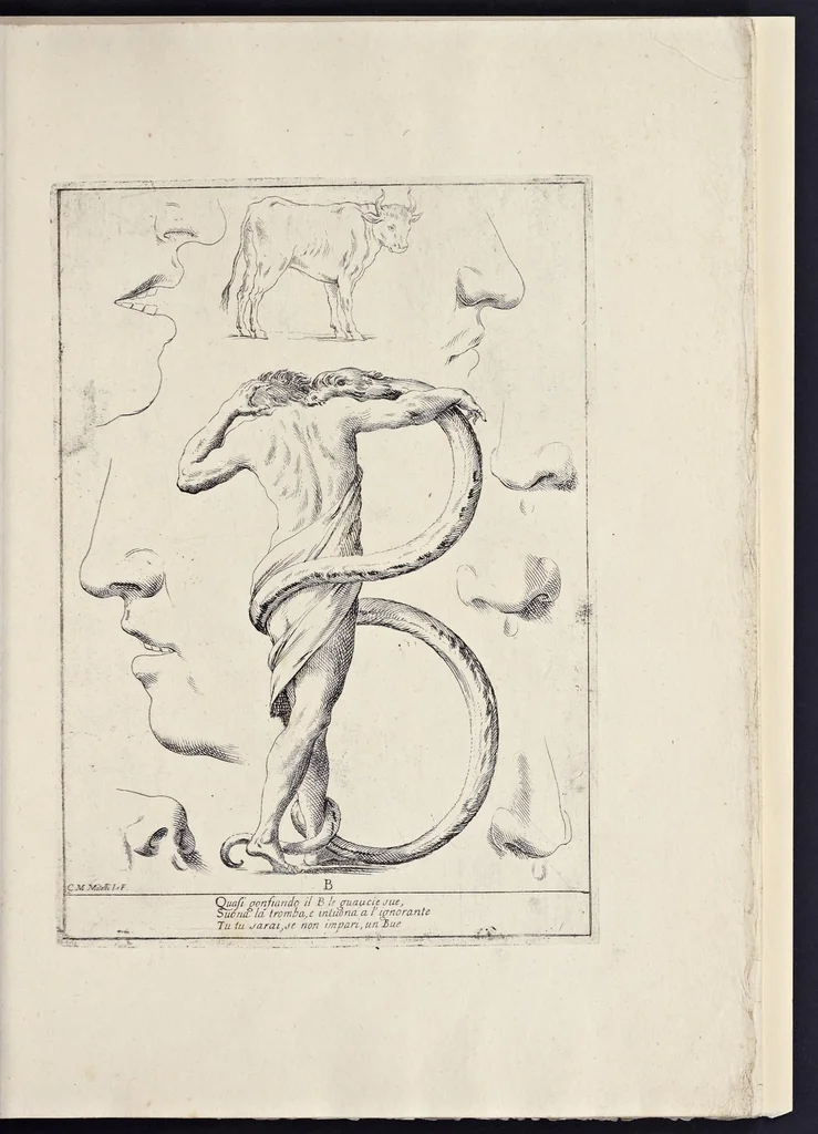An illustration from Alfabeto in sogno : esemplare per disegnare, 1683, leaf 8